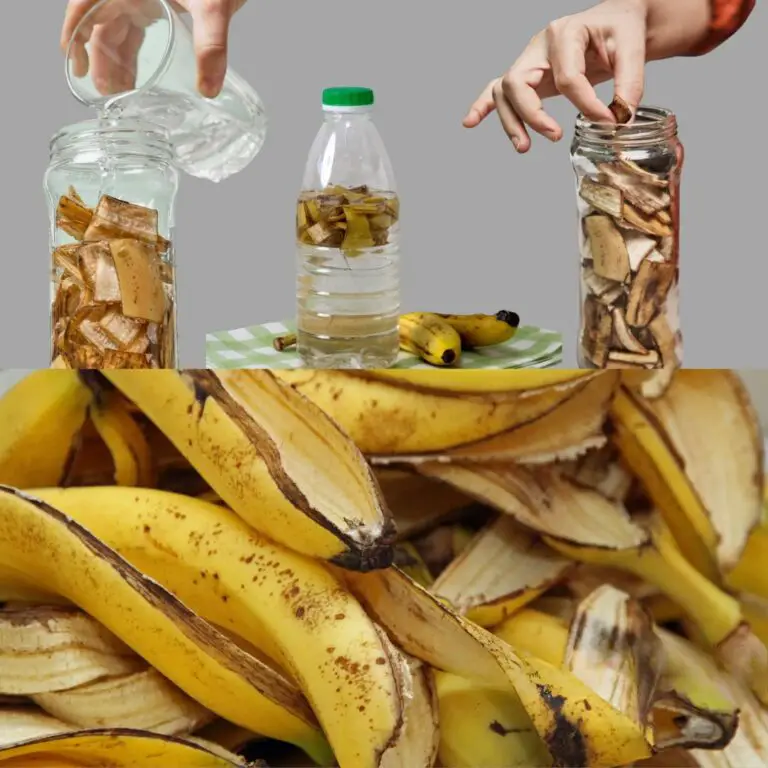 Stop Throwing Away Banana Peels! Put Them in a Bottle and Watch the Magic Happen!