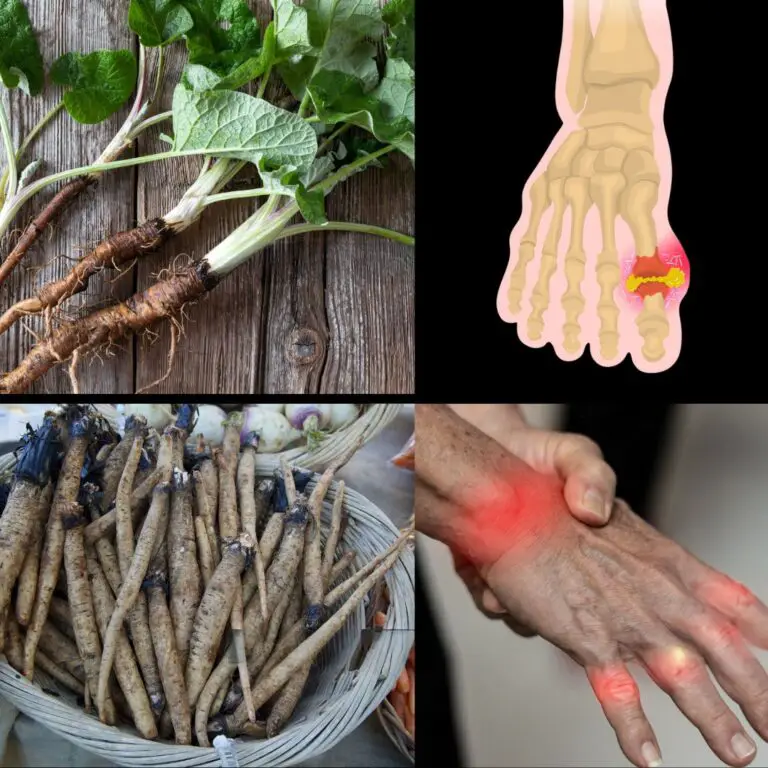 The Plant That Destroys Cancer Cells in Just 48 Hours! It’s 100 Times More Effective Than Chemotherapy