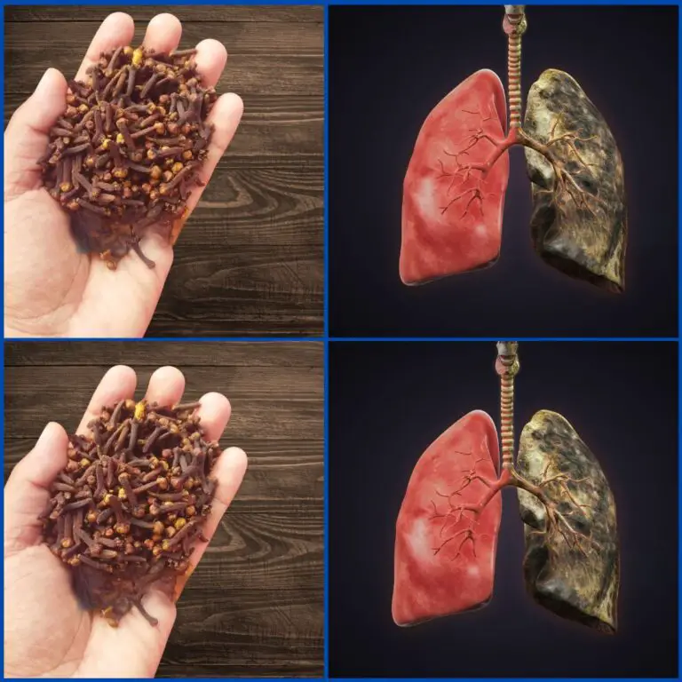 Clean Your Lungs: Stop Coughing in Three Days with This Natural Bronchitis Remedy
