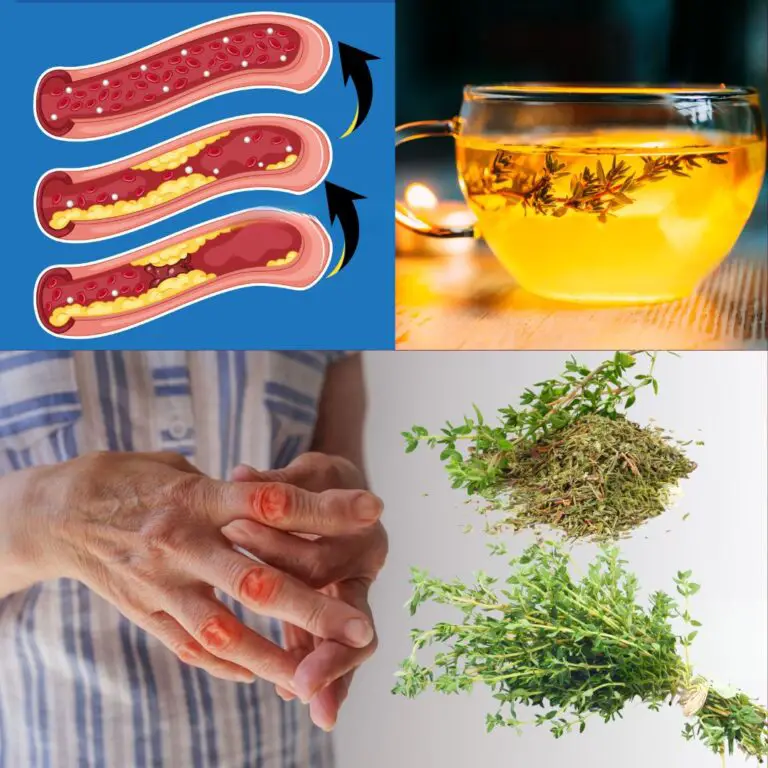 Cure All Your Ailments Like Diabetes, Poor Circulation, Fatty Liver, High Blood Pressure, and Cancer with Thyme