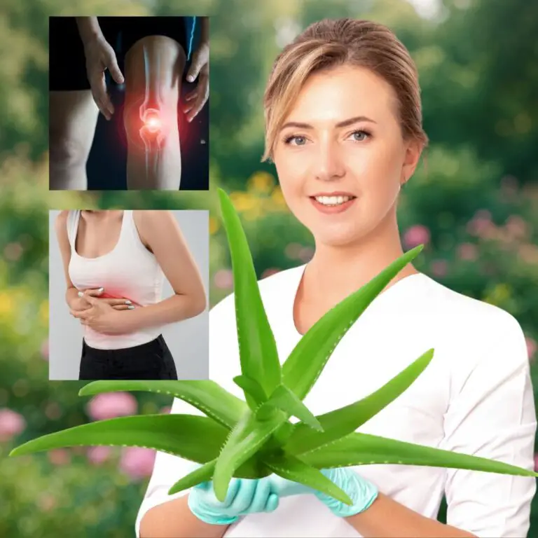 16 Health Issues Aloe Vera May Help Naturally—Plus a Refreshing Aloe Drink Recipe