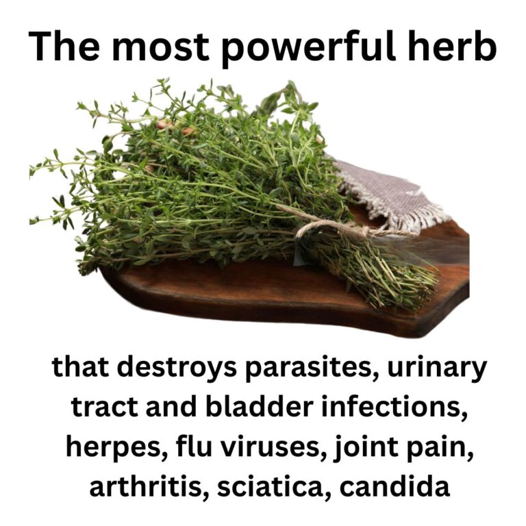 The Most Potent Herb That Destroys Parasites, Urinary Tract & Bladder Infections, Herpes, and Flu Viruses: A Powerful Natural Remedy Recipe