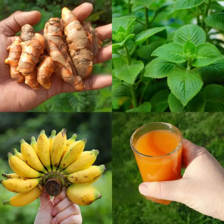 🍵 The Natural Drink That Changed My Life: Banana Peel, Poleo Mint & Turmeric Tea